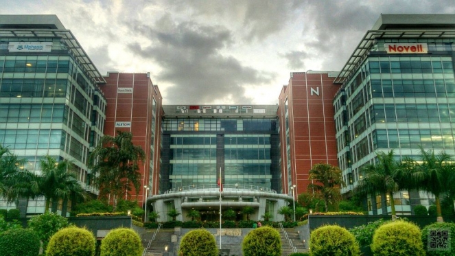 از ظهور یک شبه تا سقوط یک دهه‌ای؛ نگاهی با دلایل افول شرکت ناول